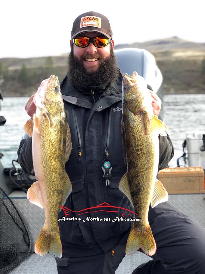 walleye_austin moser.jpg