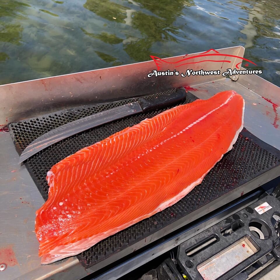 salmon fillet austins northwest adventures.jpg