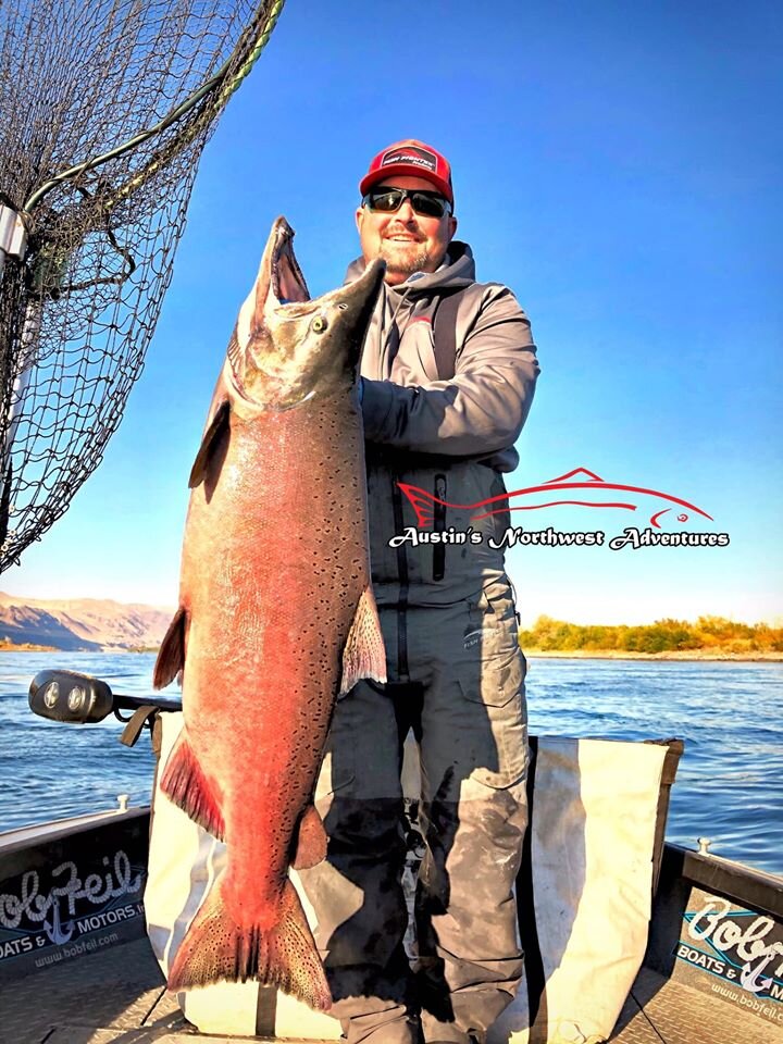 salmon red dragon austin moser.jpg