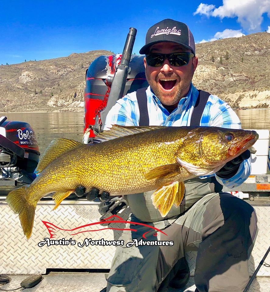 summer walleye austin moser.jpg