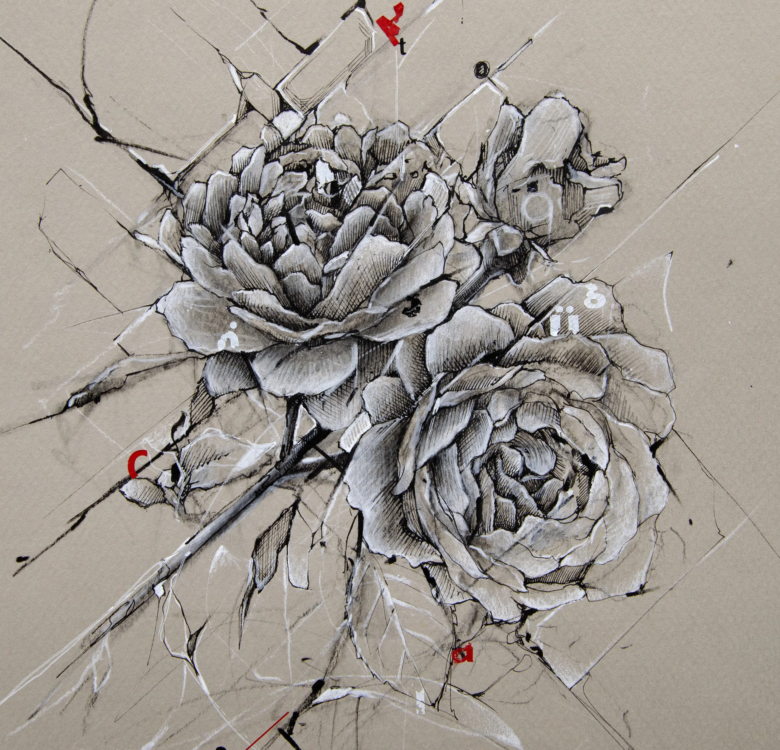 Floral Sketch_1.jpg