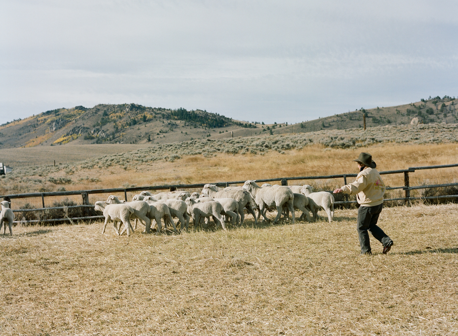 mickey_thoman_chapter_three_women_in_wyoming_herding_sheep_camp.jpg