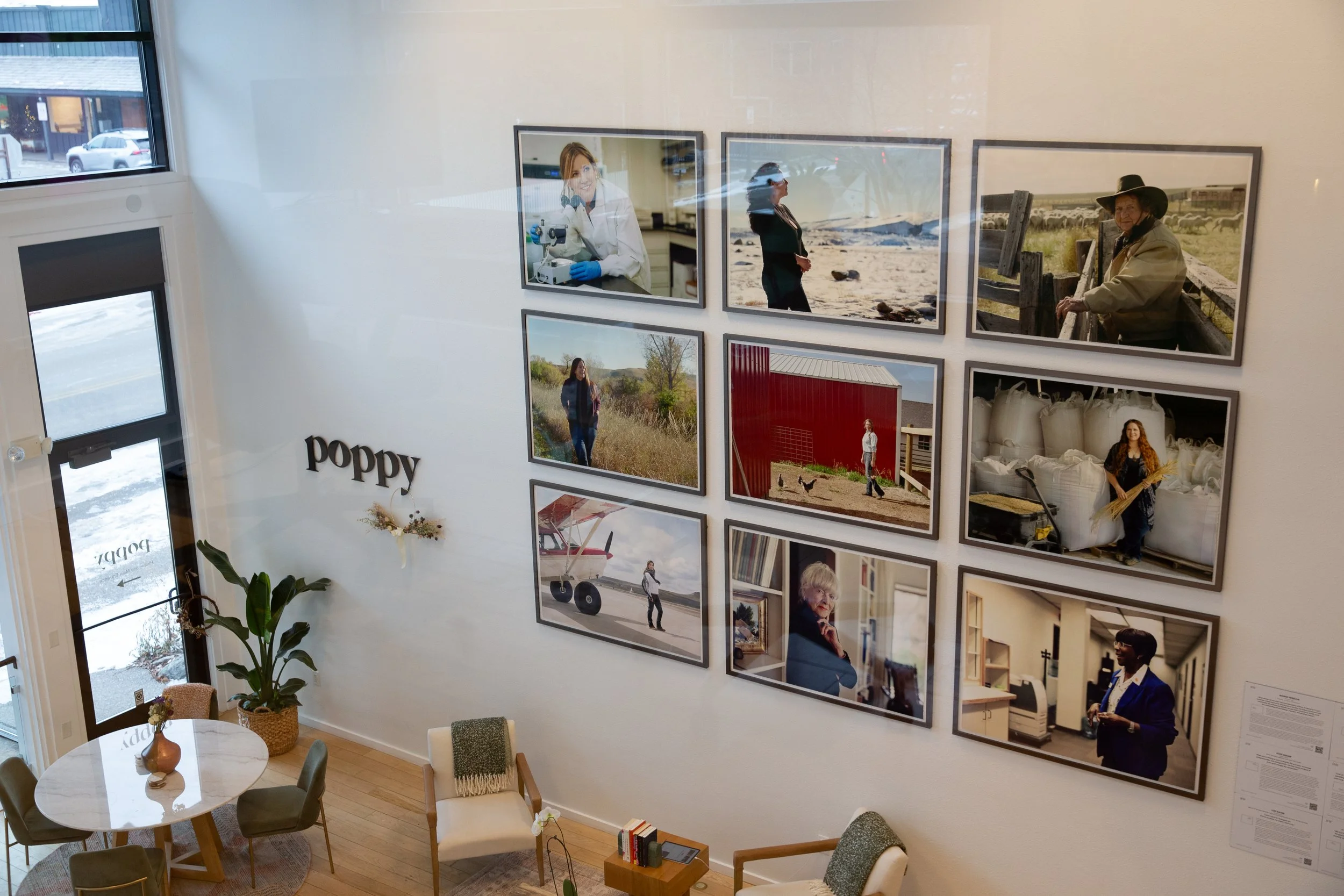 ww_poppy_016.jpg