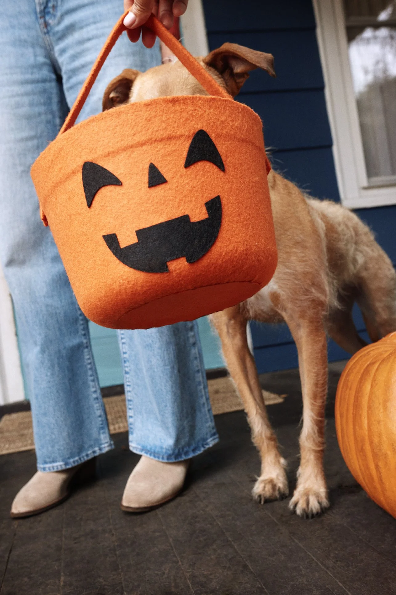 20250820_TFD_SN_Halloween_Fall_0655.jpg