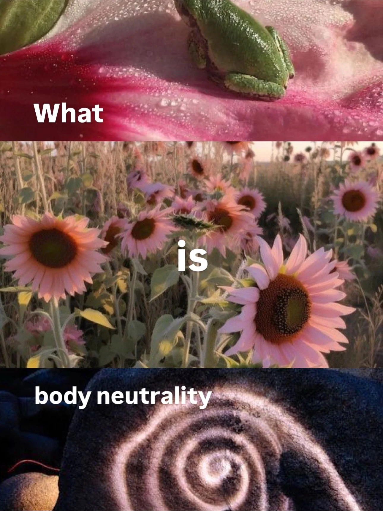 Body positivity says &ldquo;I love my body no matter what,&rdquo; while body neutrality says &ldquo;My body just is &mdash; it doesn&rsquo;t define my worth.&ldquo; 🦋🌈💘

&gt;&gt; DM to book a free Clarity Call to chat about the Body Balance Progra