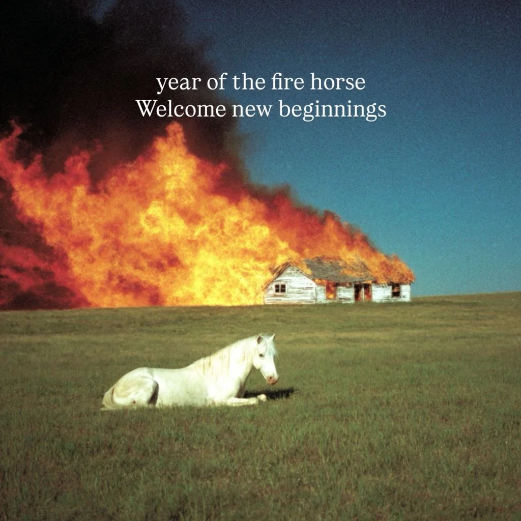 we are so back ⭐️🫶🏽‼️

#lunarnewyear #firehorse