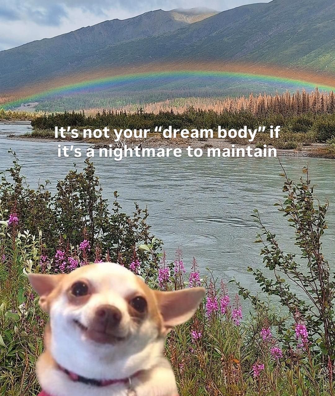 A healthy body comes in all shapes &amp; sizes btw. 

DM me &lsquo;BALANCE&rsquo; to learn how I can support you 🌈🩷🫶🏽🦋⭐️