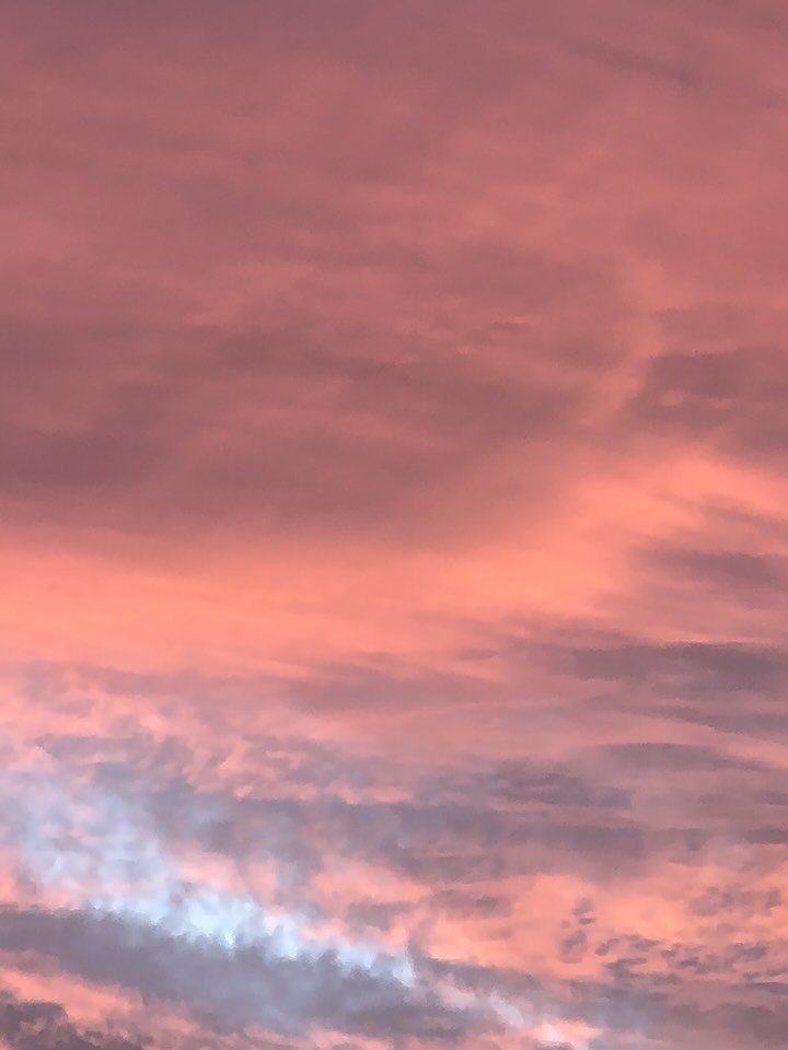 the most beautiful things on my camera roll rn ❀ ⋆｡˚