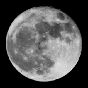I looked up one night... A bit about me. My dad is an electrical engineer who wrote the assembler for the MITS Altair 8800 computer. It was the first computer a person should own. My mom is an artist, and teacher. I have a degree in art, and a masters in business, focusing on database design and networking. So I'm a chip off the old blocks? I learned to program on that same said MITS Altair 8800, but I used basic, which was written by Bill Gates and Paul Allen, whom I met in Ed Roberts (founder of MITS) garage in Albuquerque New Mexico in the early 70's, while my dad was developing the assembler in his spare time. I spent years in and around tech, and was vice president of a voice mail company in the early 90's. I spent 10 years teaching high school, and have coached swimming for a few decades too. I still coach, and now I am on the radio, and podcast here. Please reach out and say hi if there is a topic you would like me to cover.