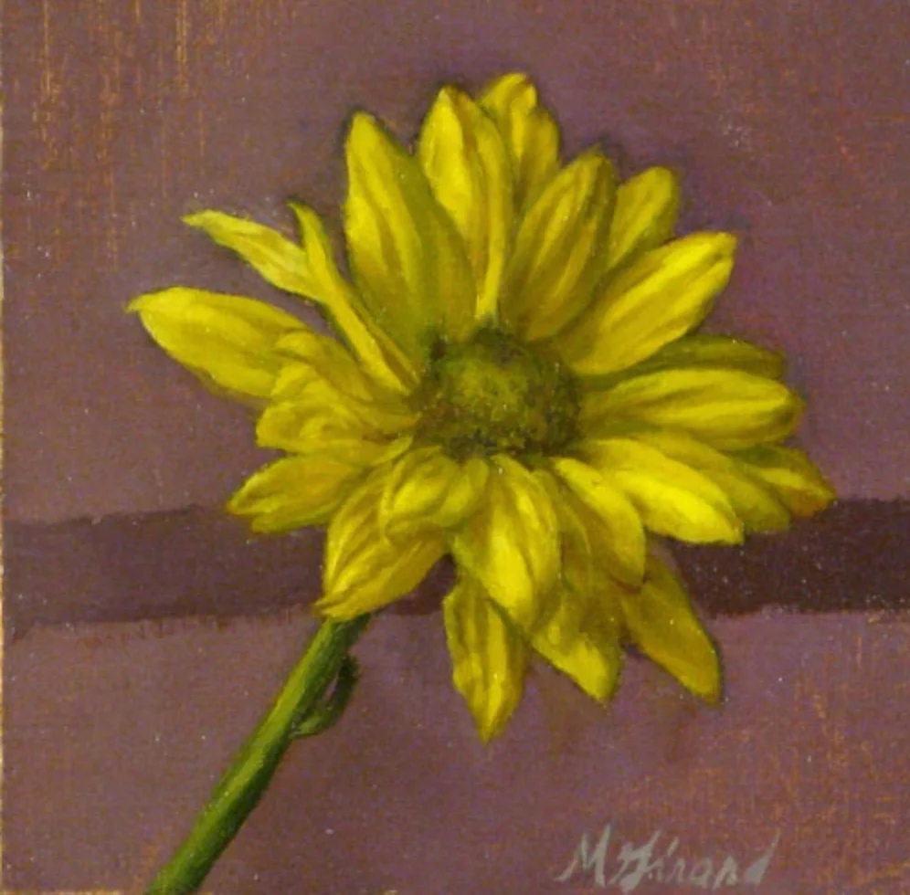 miranda-girard-painter-painting-oil-ct-nyc-Connecticut-Daisy.jpg
