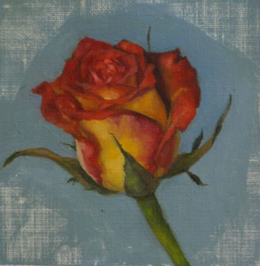 miranda-girard-painter-painting-oil-ct-nyc-french-rose.jpg