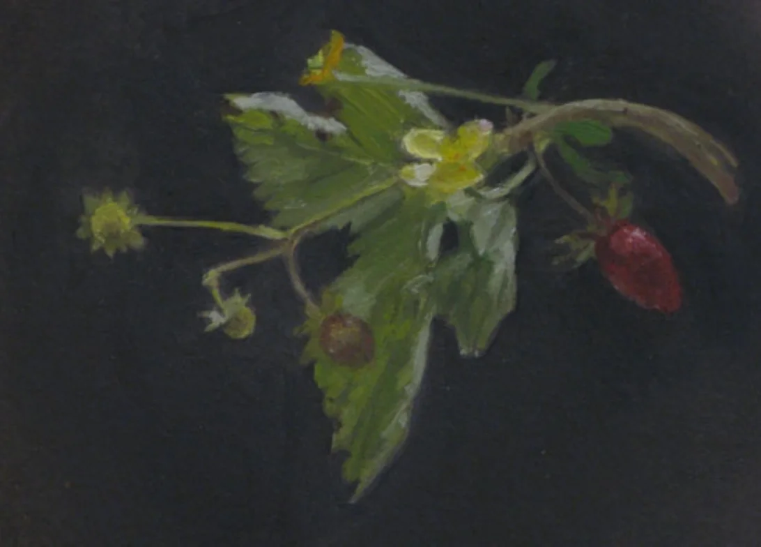 miranda-girard-painter-painting-oil-ct-nyc-Wild-Strawberry-and-Buttercup.jpg