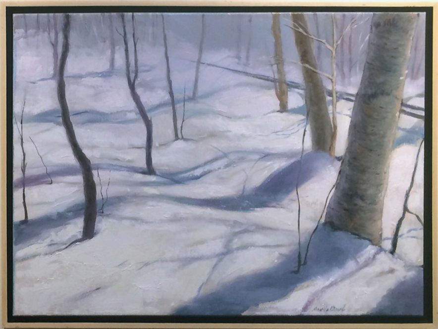 Vermont+Snowscapes_frame2.jpg