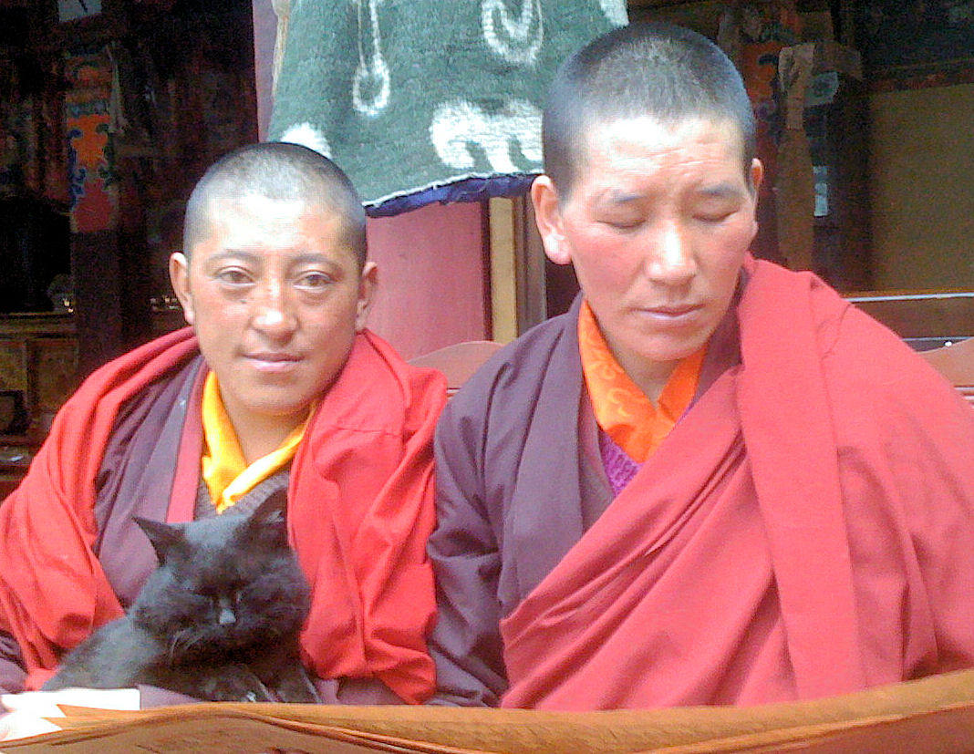 Nuns reading with cat.jpg