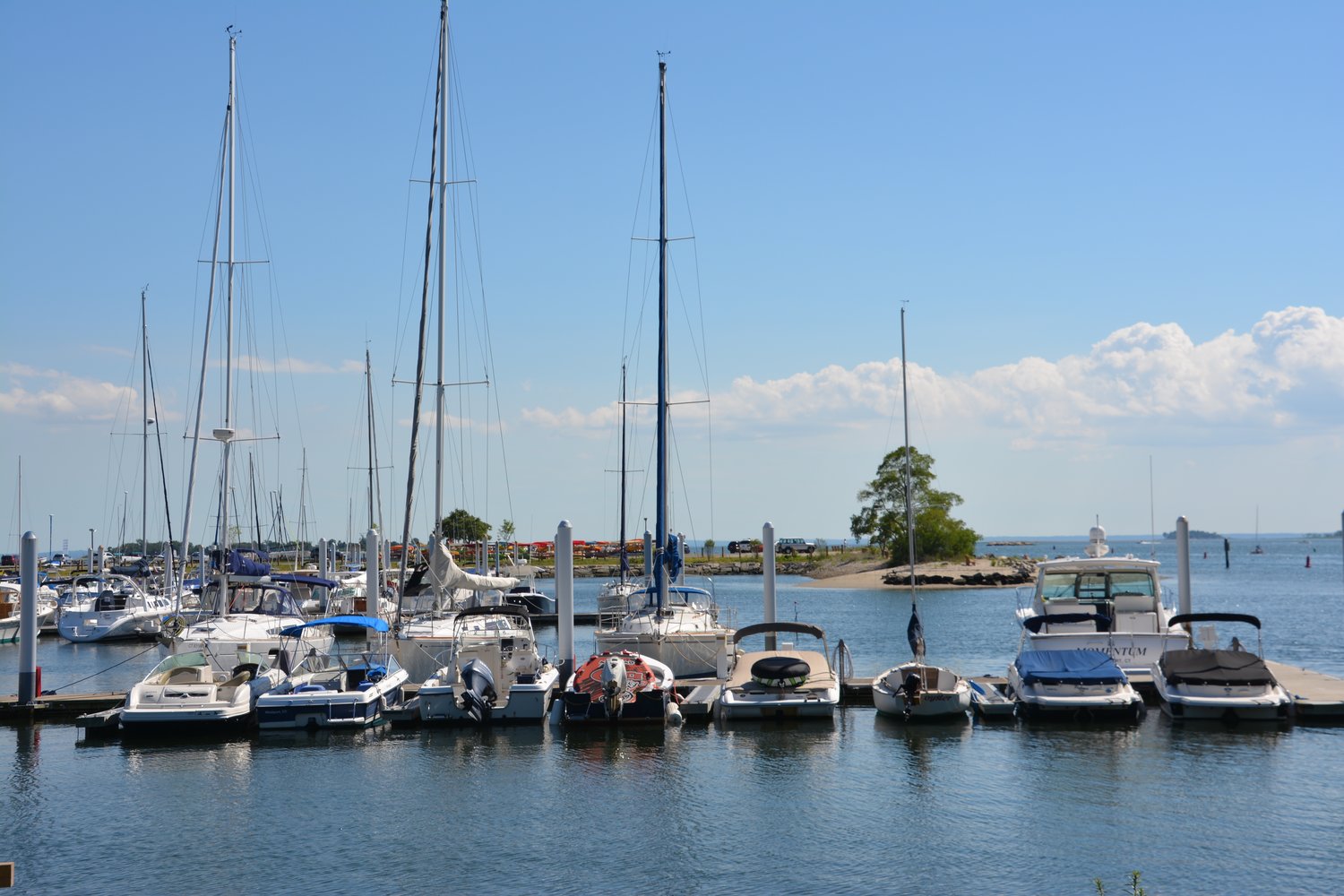 DSC_0243.small.jpg