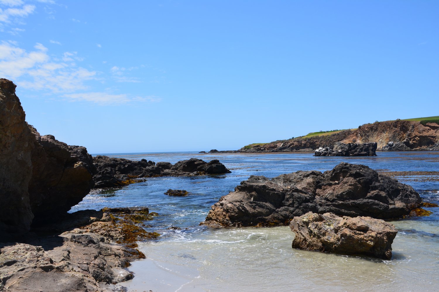 DSC_0627.jpg