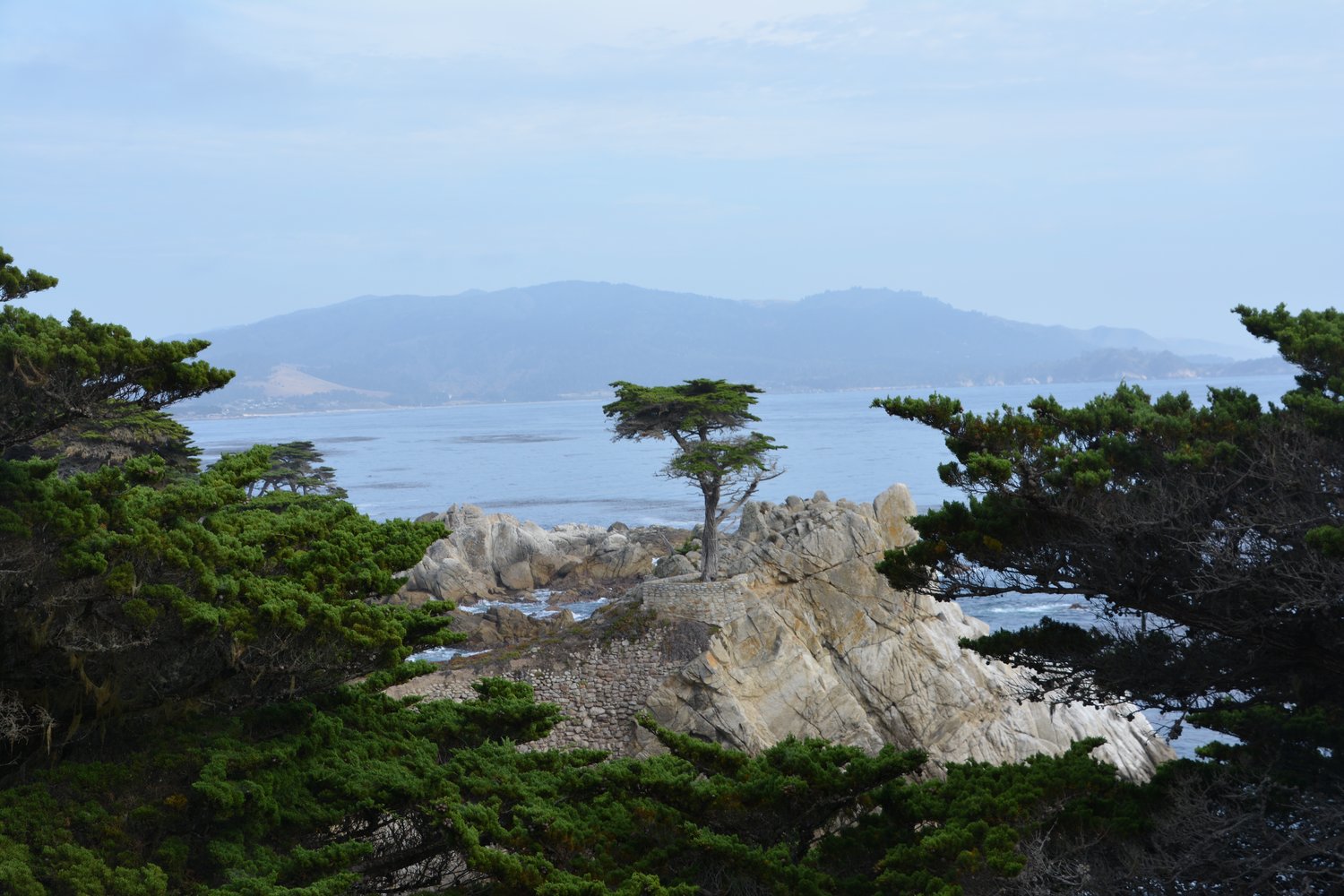 DSC_0705.jpg