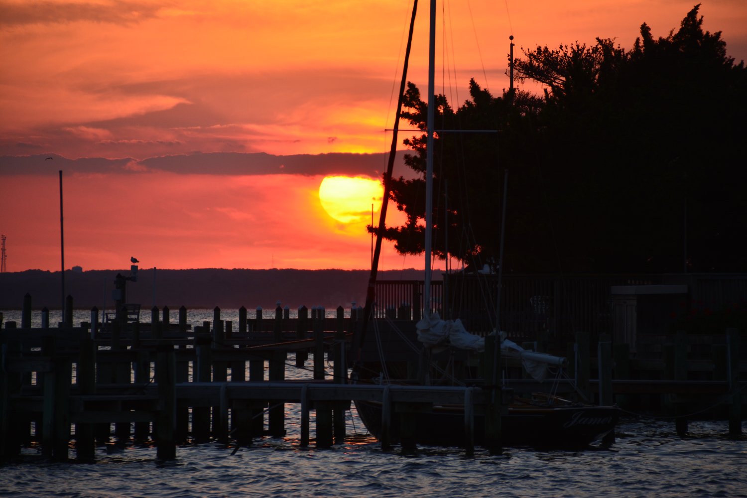 DSC_0765.jpg