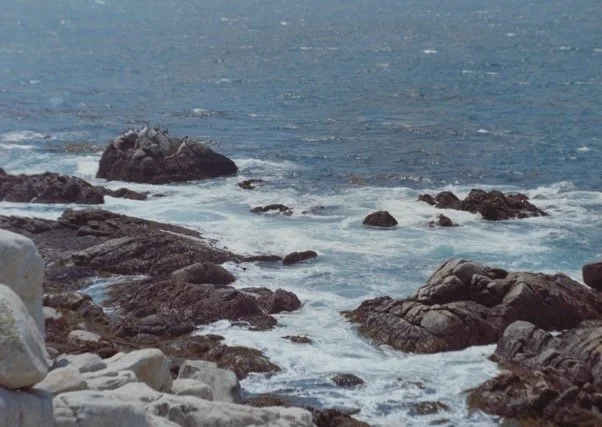 monterey&bigsurB-2 Medium.jpeg