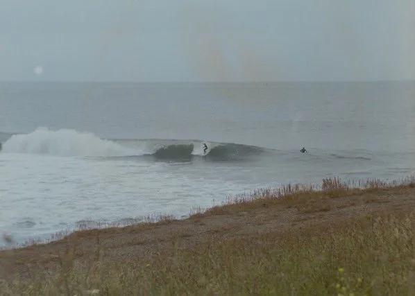 monterey&bigsurB-5 Medium.jpeg