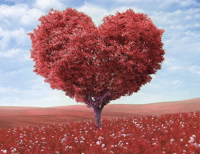 red heart tree.jpg