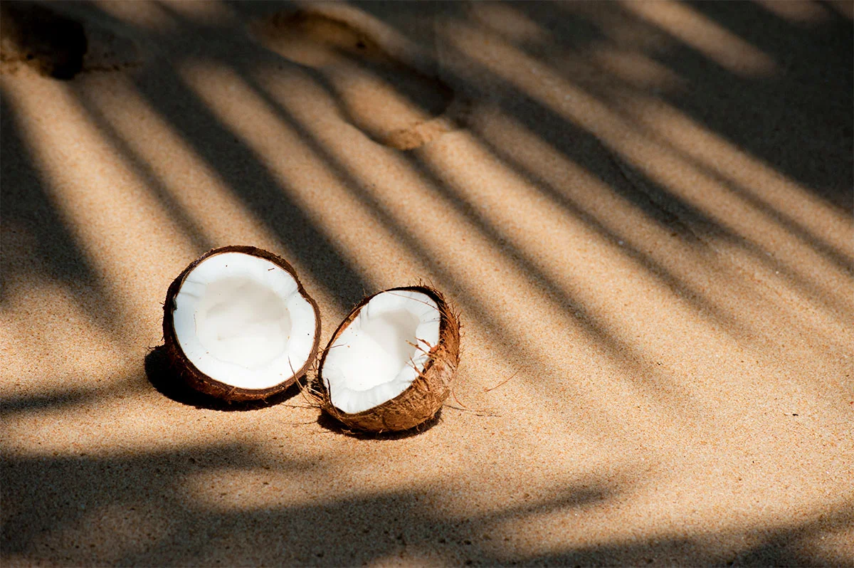 coconut on the beach.jpg
