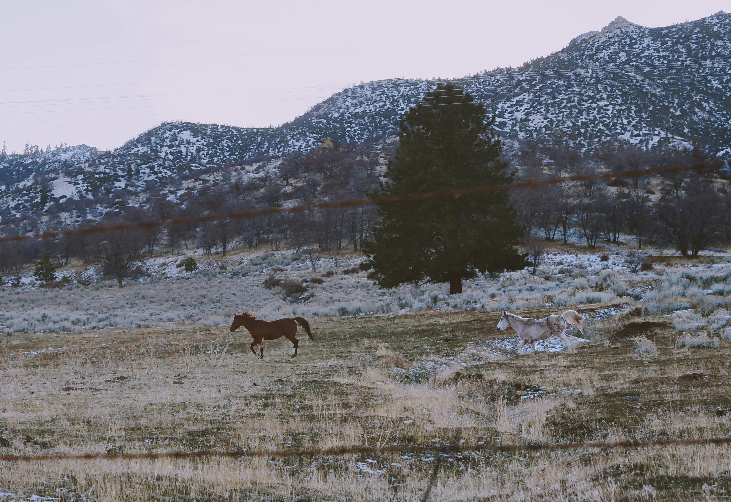 20161228-61CalDrive2-1.jpg