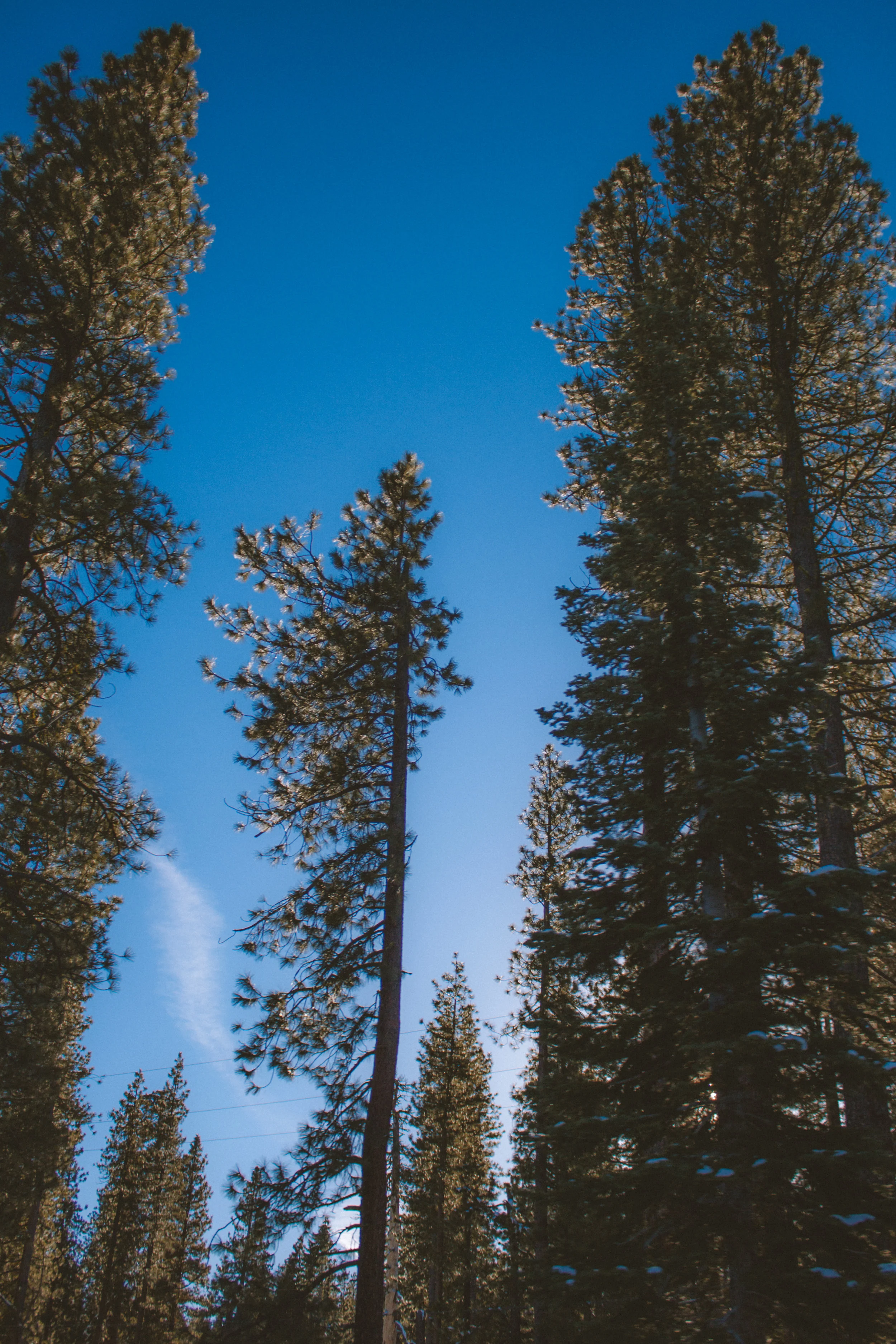 20161228-47CalDrive2-1.jpg