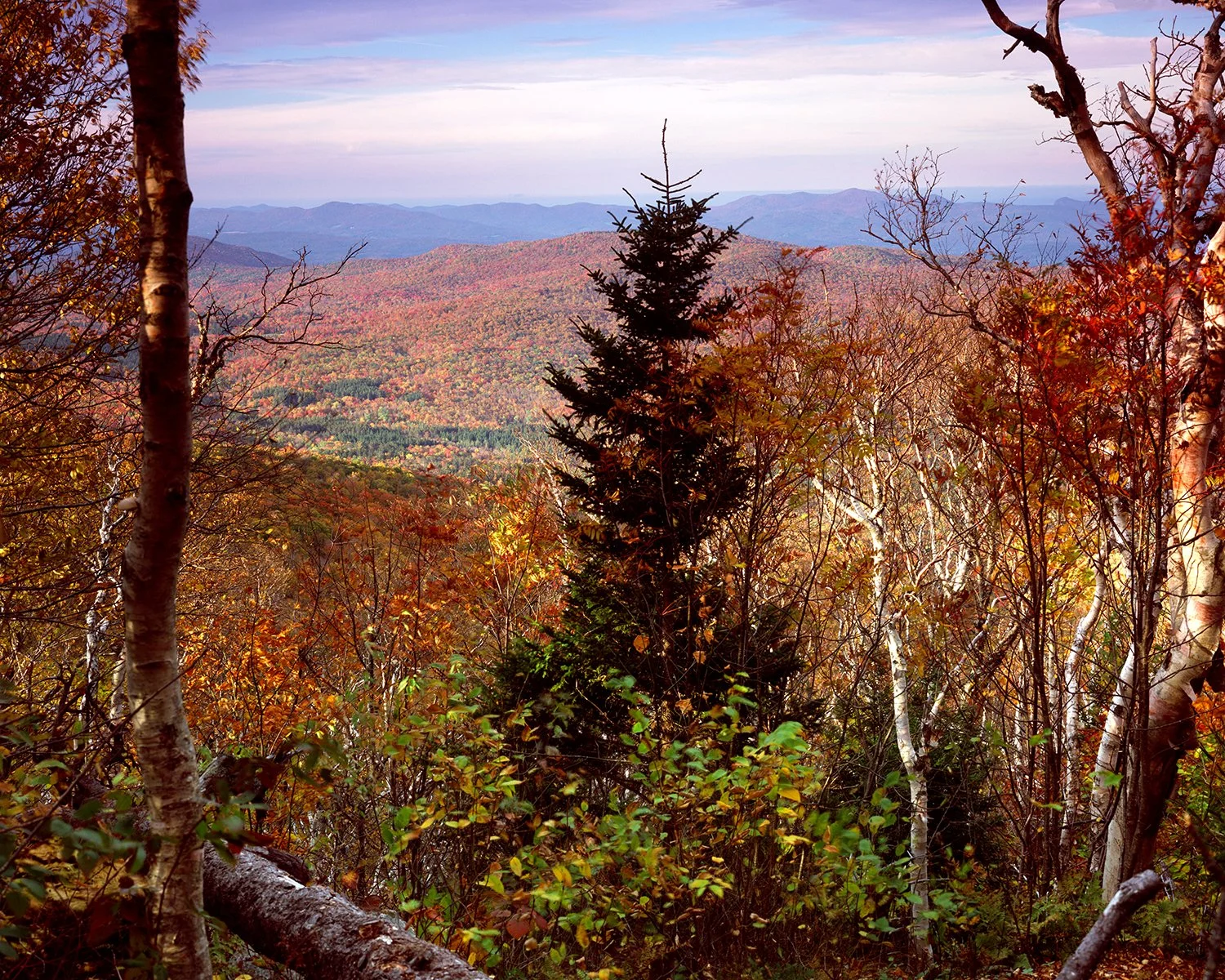 In the Heart of Autumn NATGEO.jpg