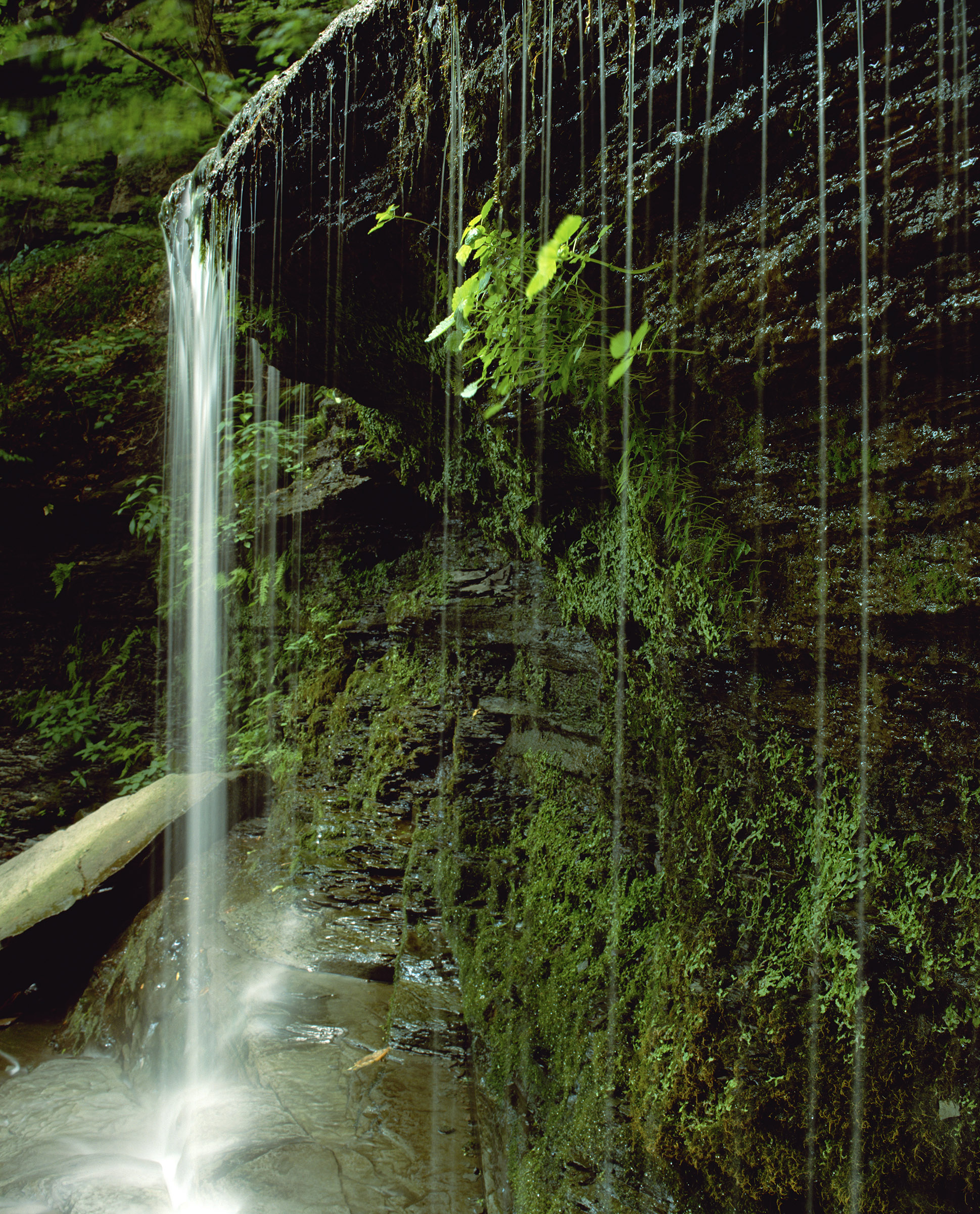 "Go With the Flow"