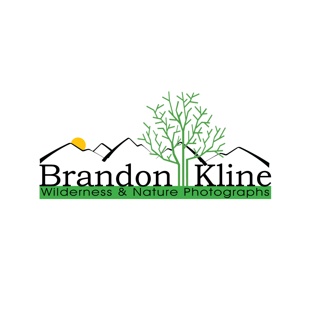 Brandon-Kline.gif