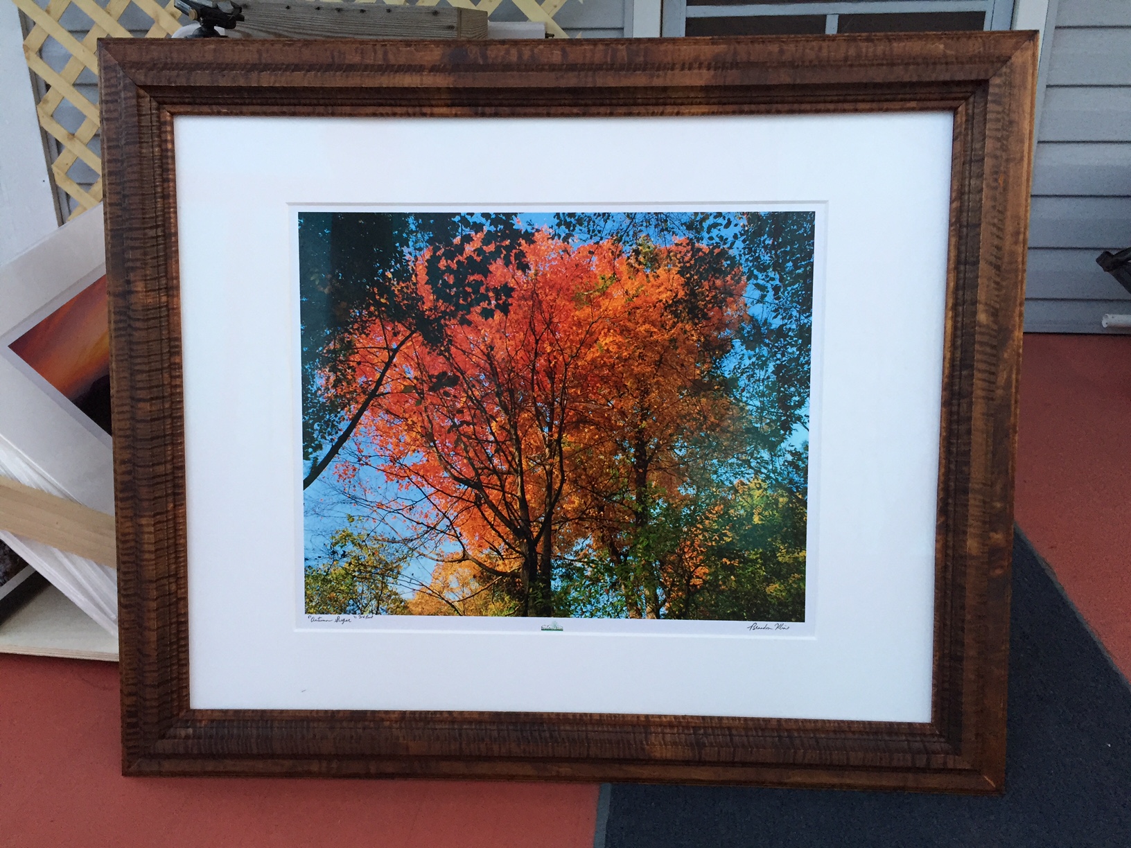 Curly Maple Frame w/ color burned in using Aquafortis, Museum Glass, 6-ply Crescent Select White Matboard
