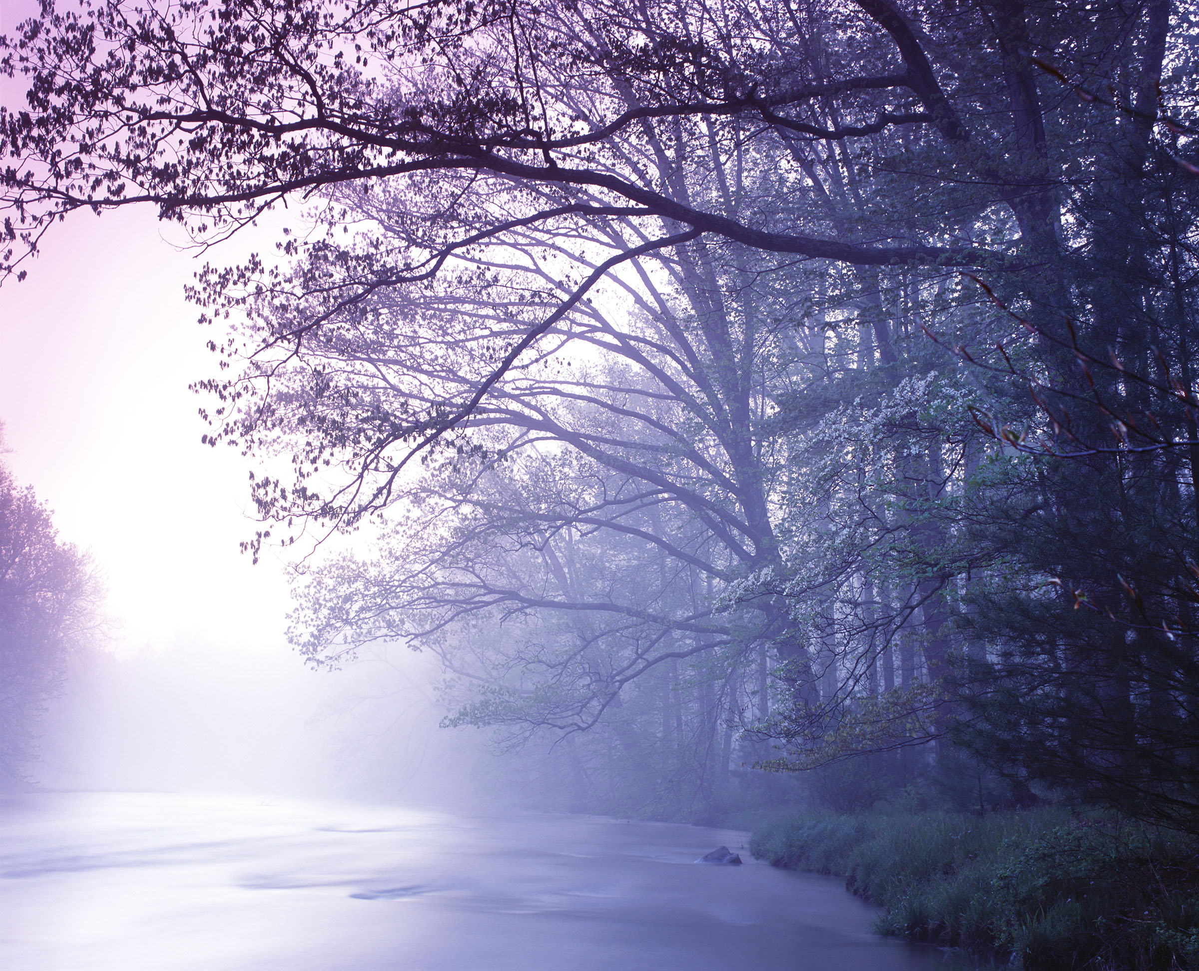 "May Your Spirit Be the Guide"