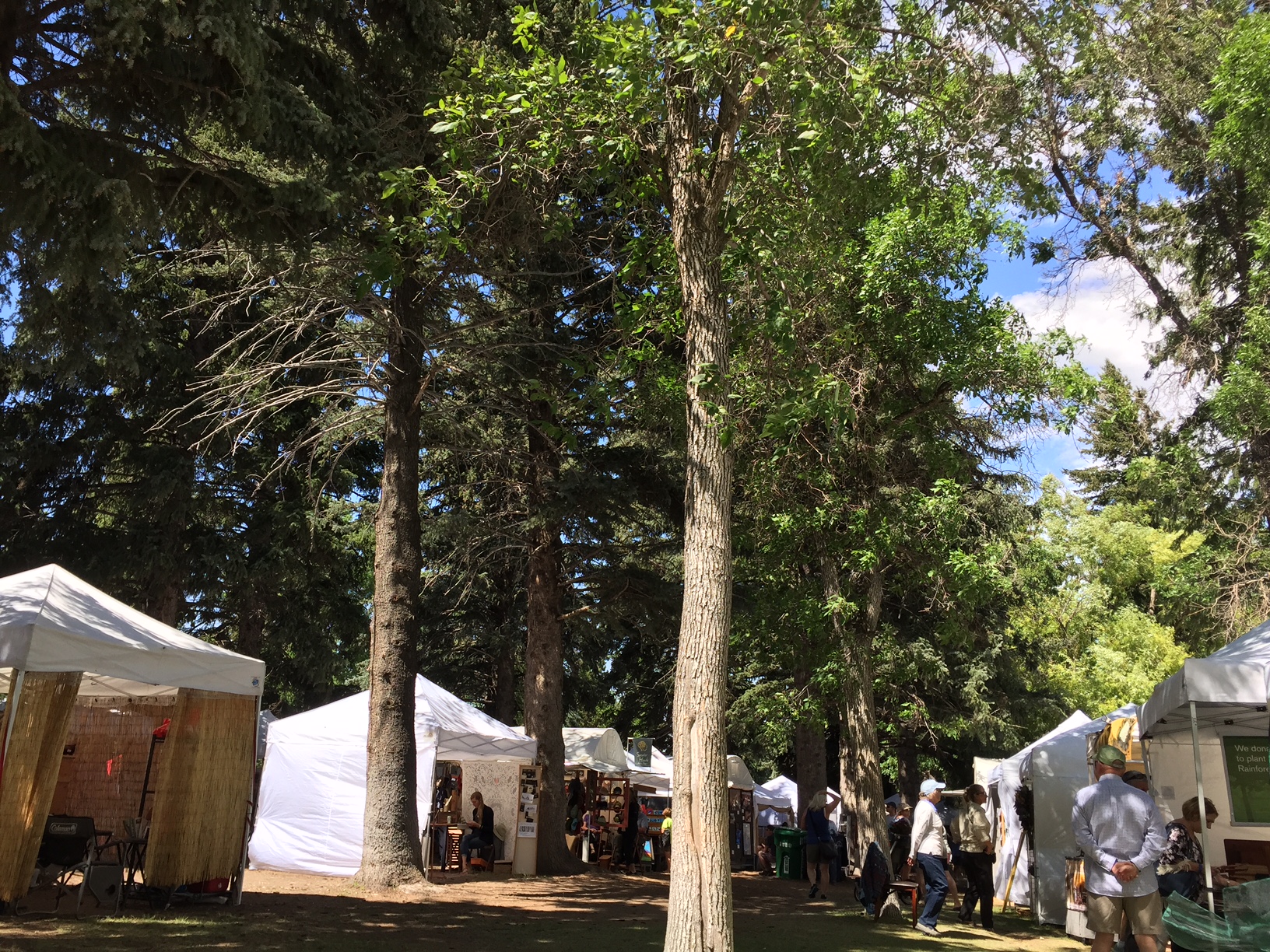 My views during the Sweet Pea Festival last Summer in beautiful Bozeman, MT!