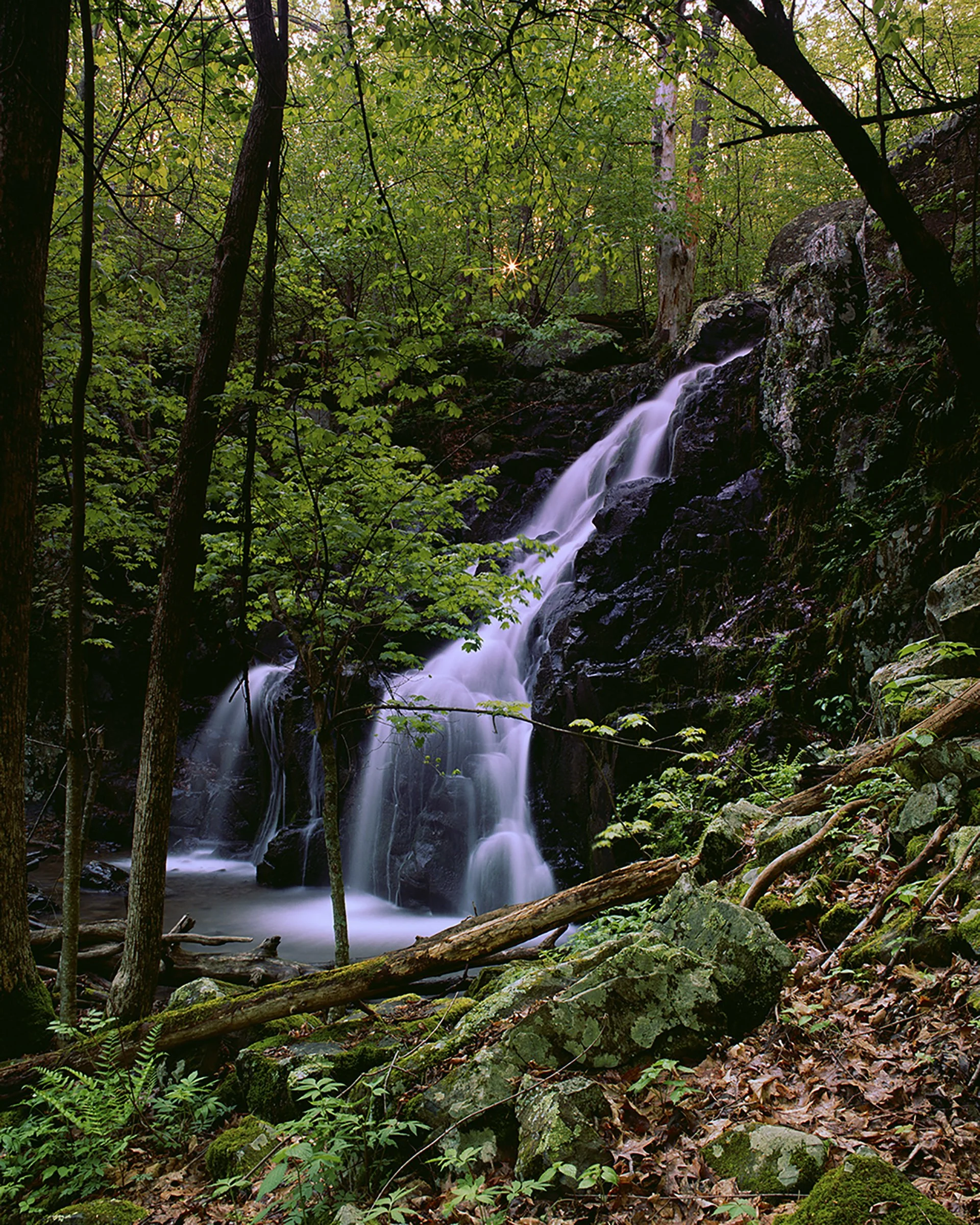 A Home Away from Home NATGEO.jpg