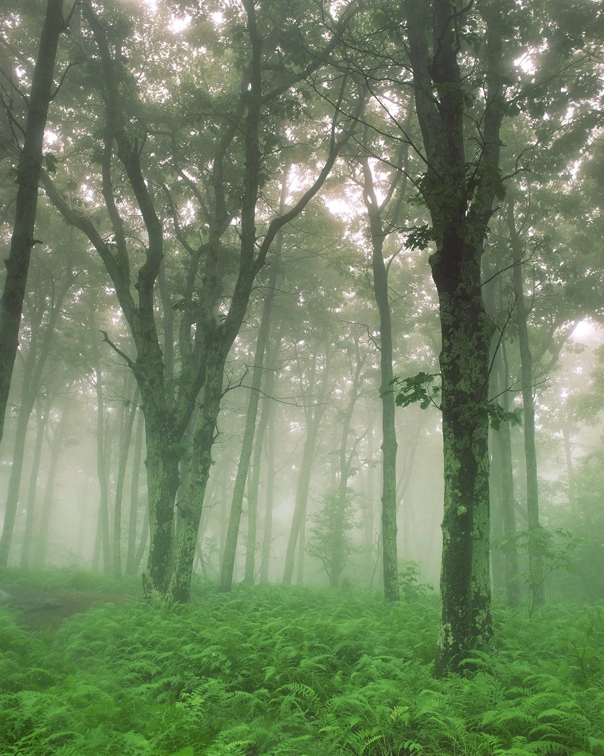 Into the Unknown NATGEO.jpg