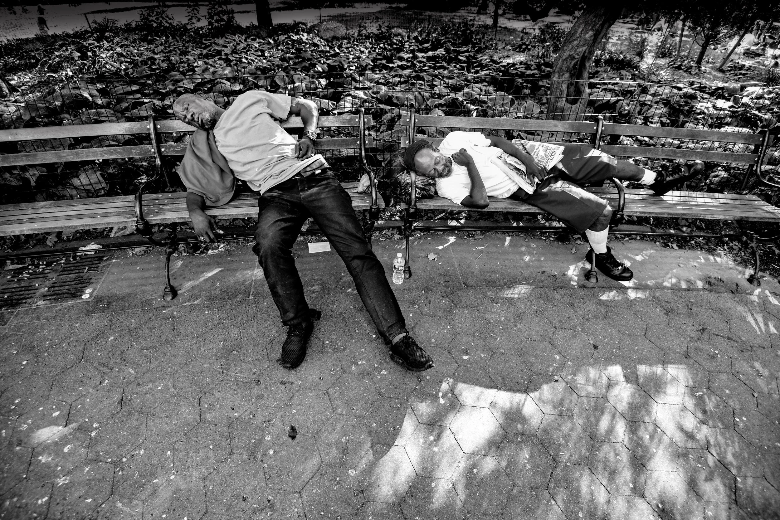 New York Book Final-5.jpg