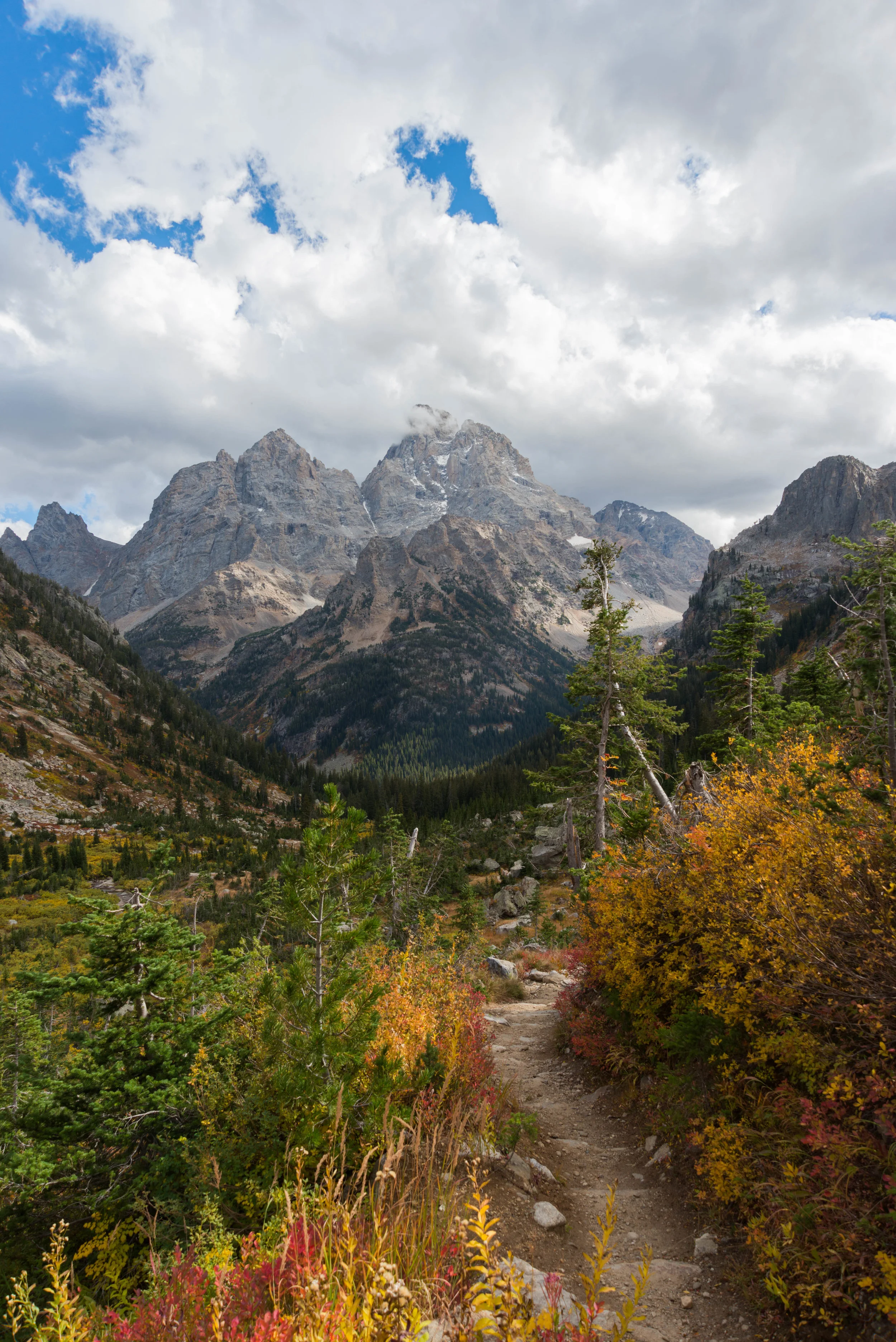 Path to the Tetons
