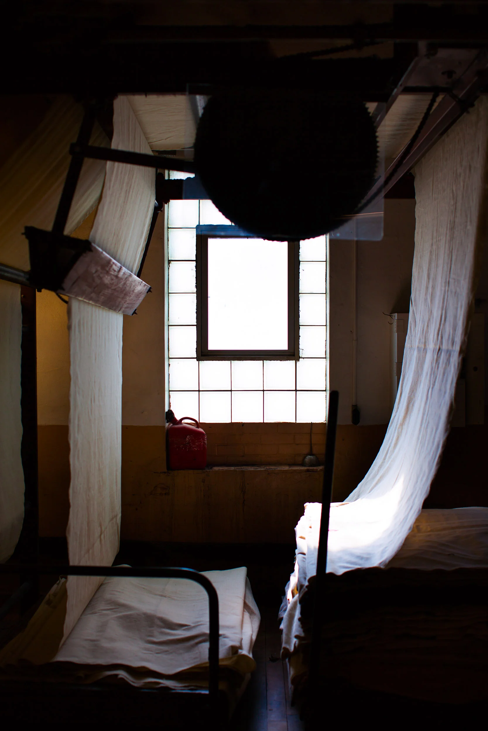 TalismanPHOTO_20151104_1495.jpg