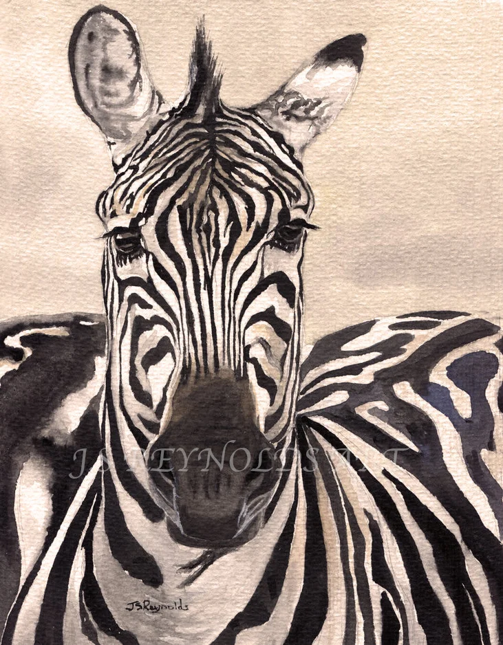 Zebra Print Stock.jpg