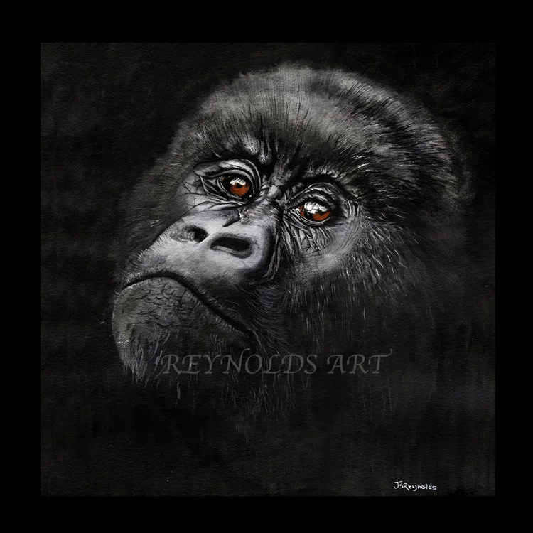 Gorilla Print Stock.jpg