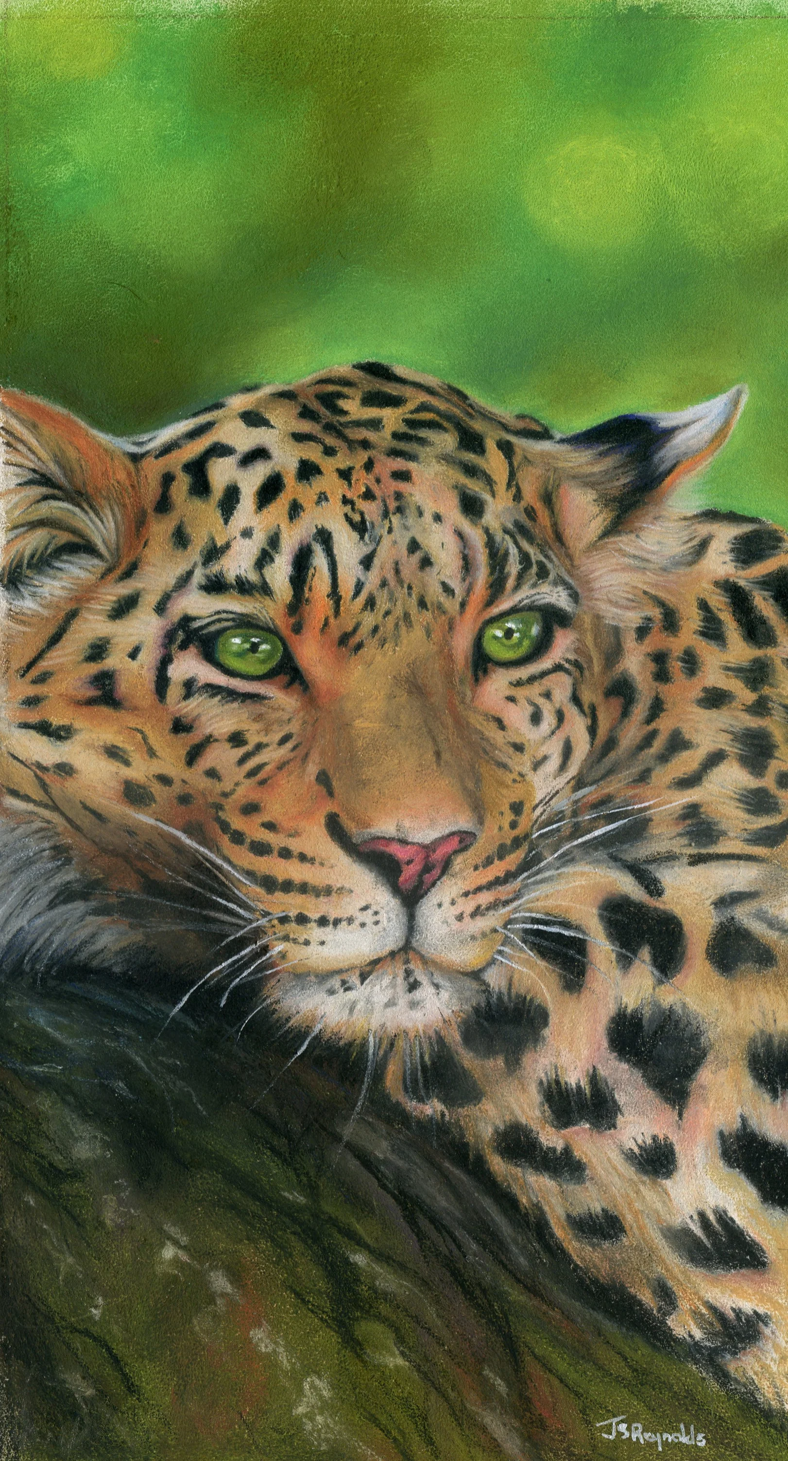 pastel leopard.jpg