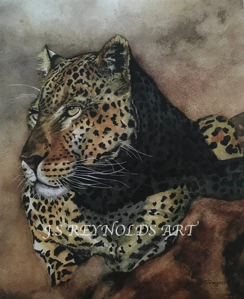 Leopard+Print+Stock.jpg