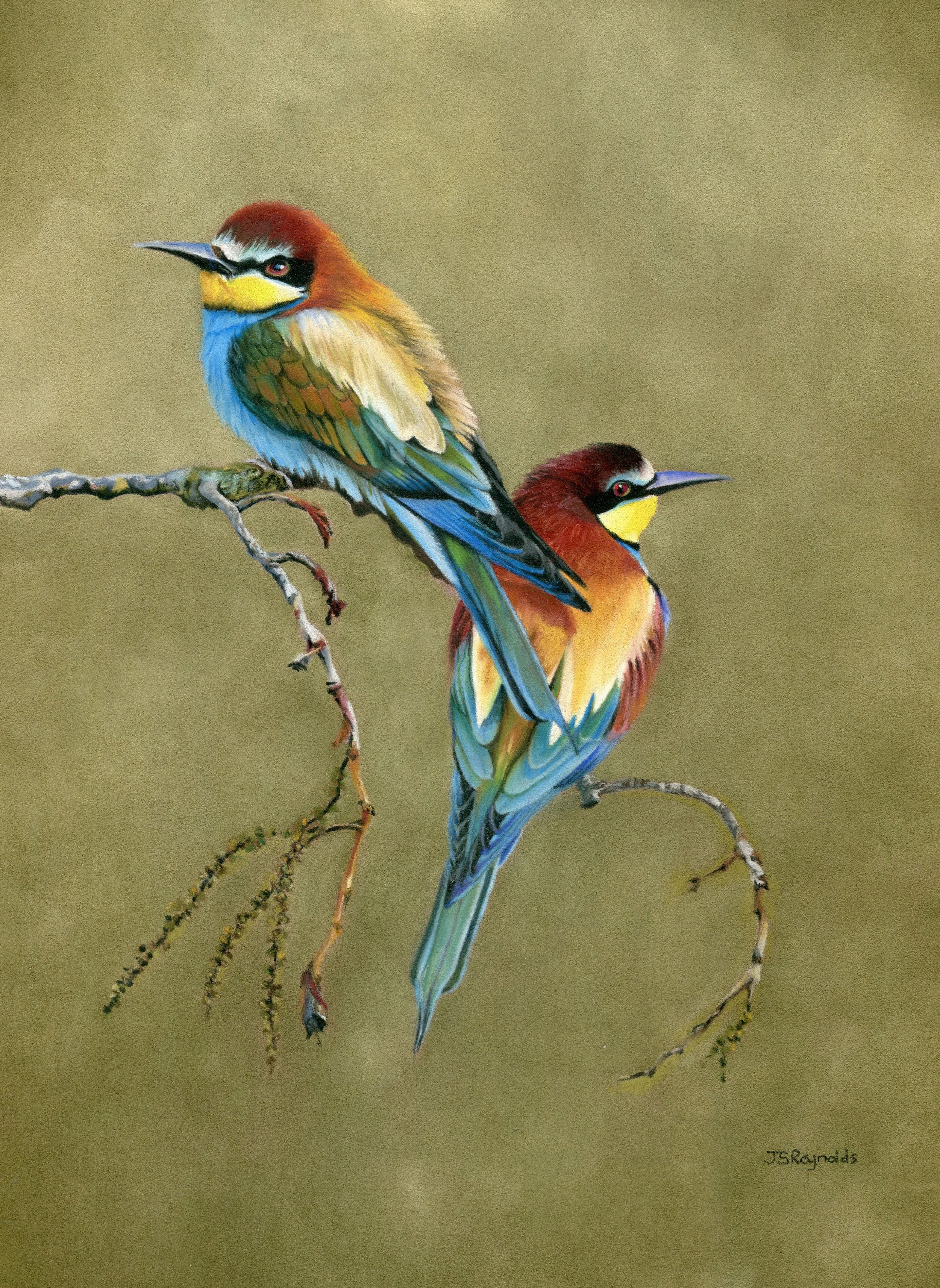 BEE-EATERS.jpg