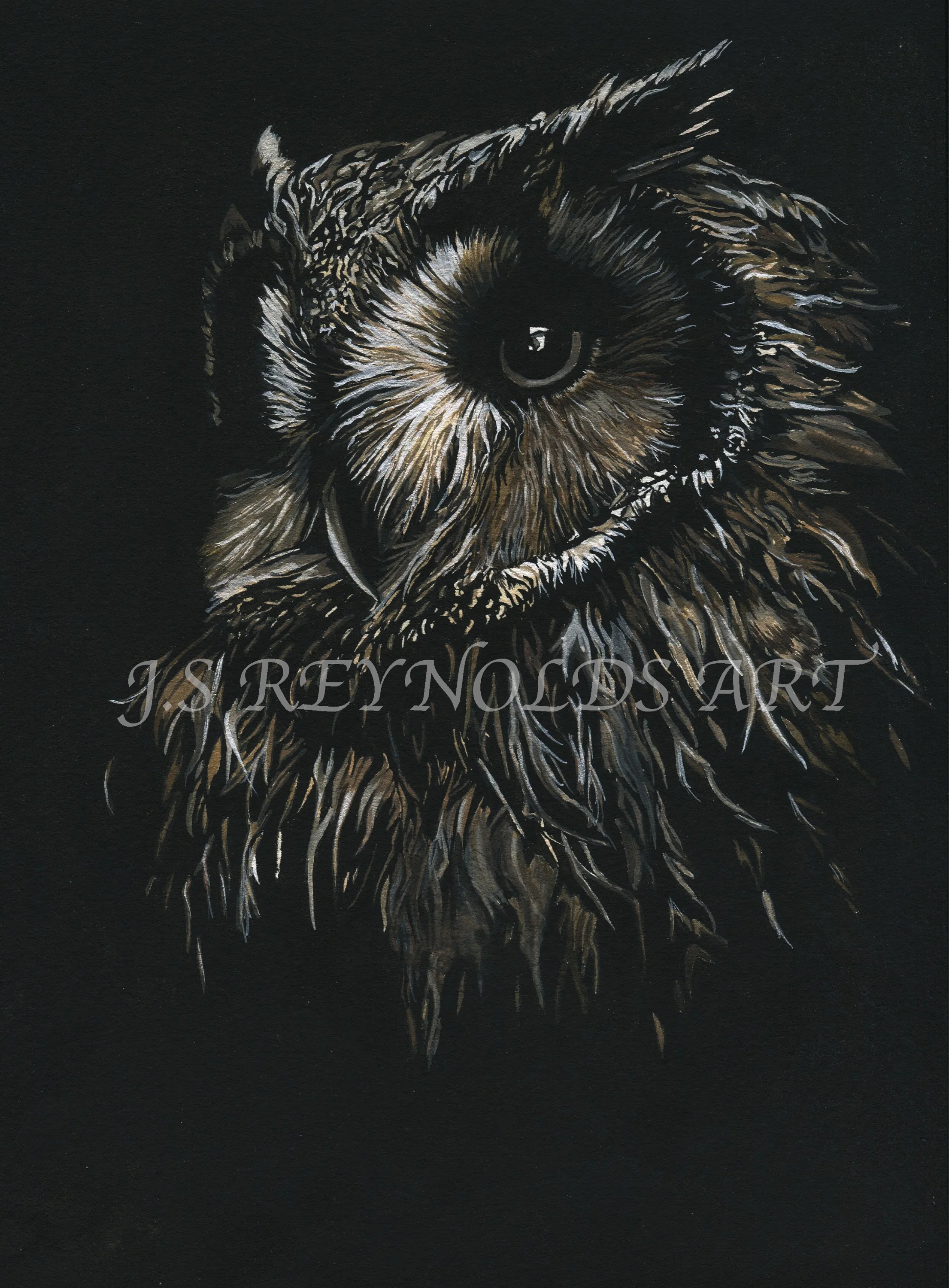 OWL.jpeg