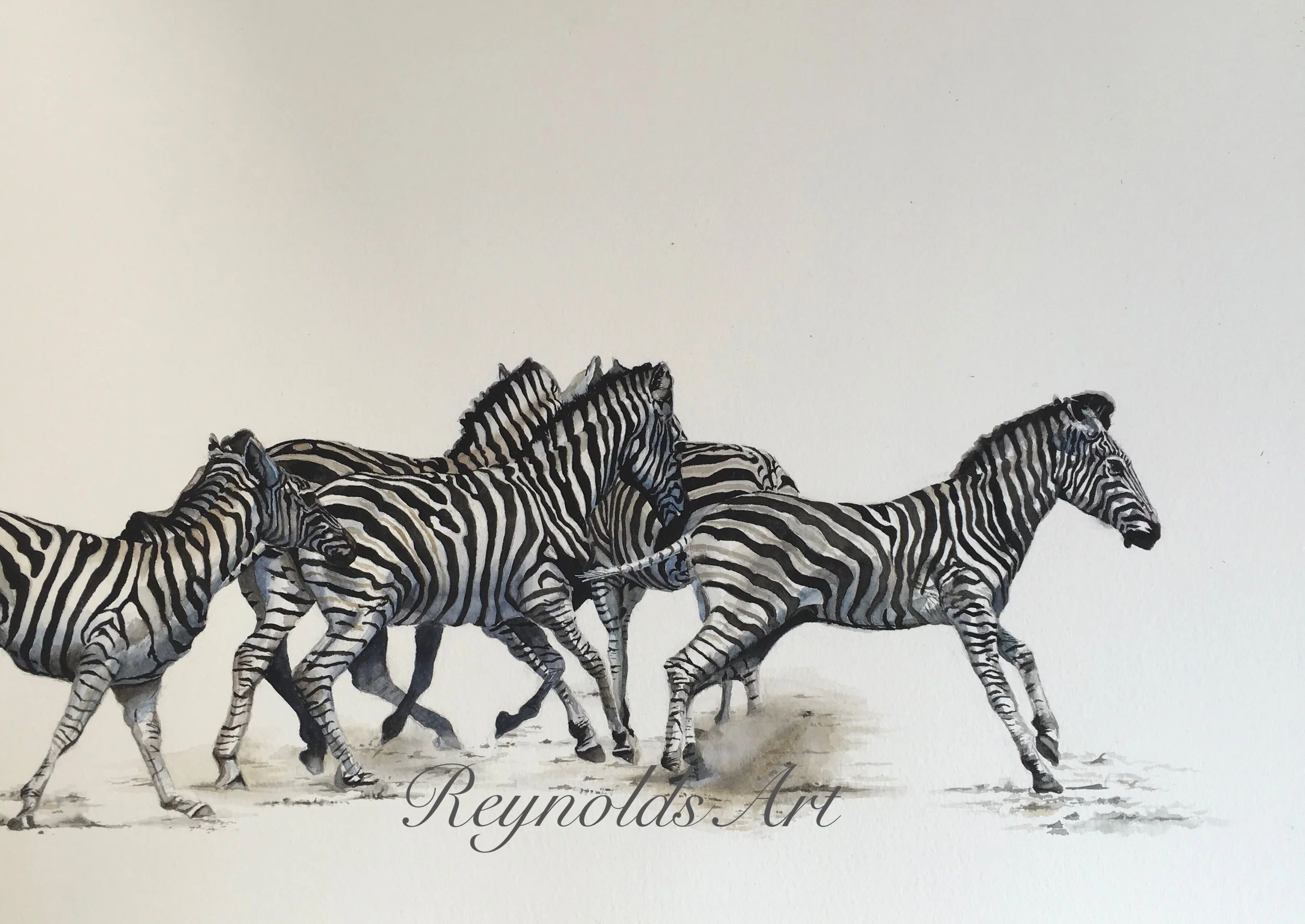 ZEBRA Herd.jpeg
