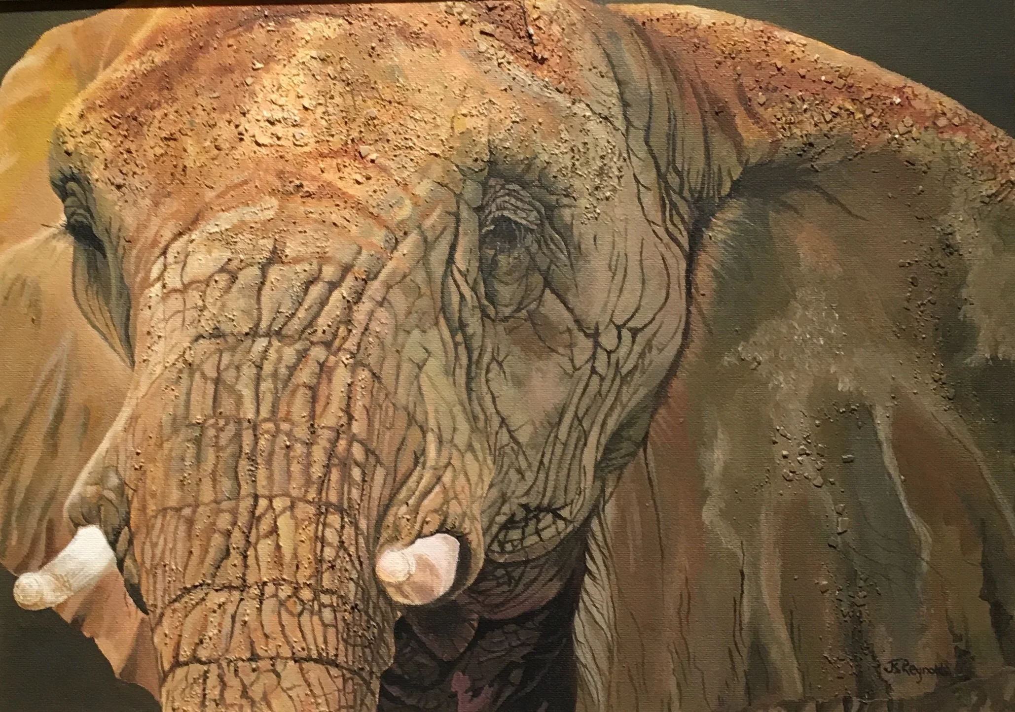 Eggshell ELEPHANT.jpeg