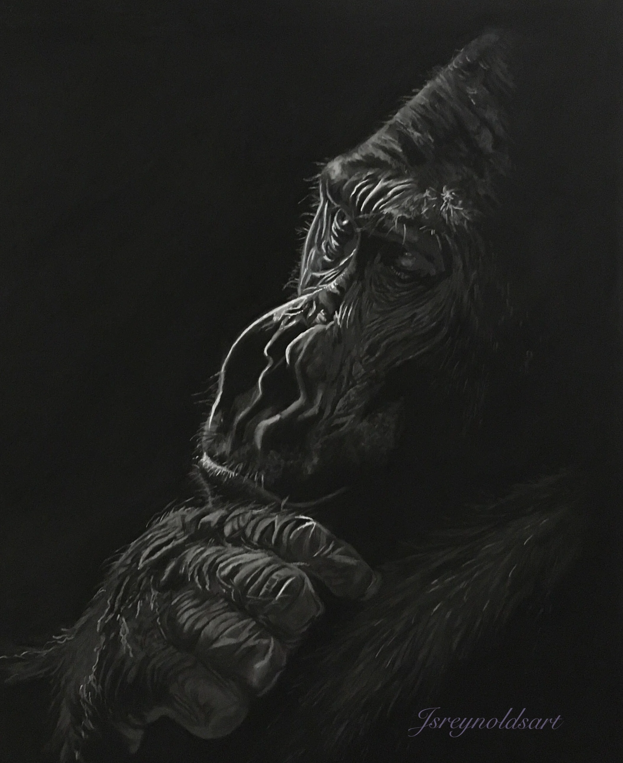 charcoal gorilla.jpeg