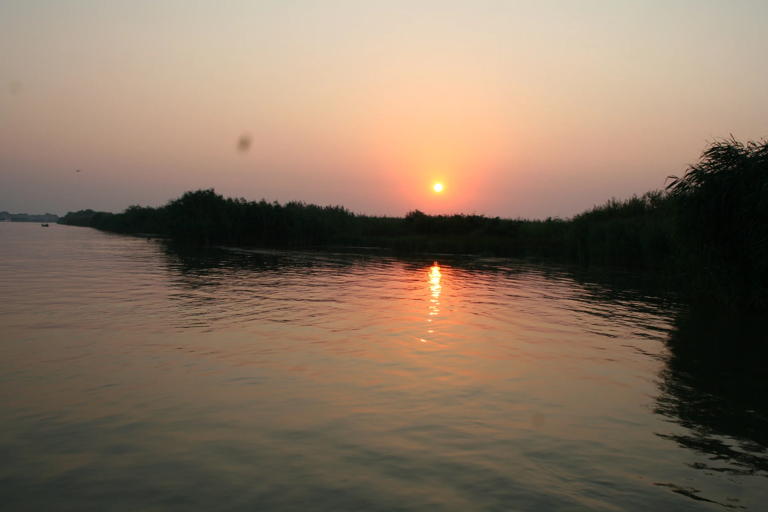 ref-00007.jpg