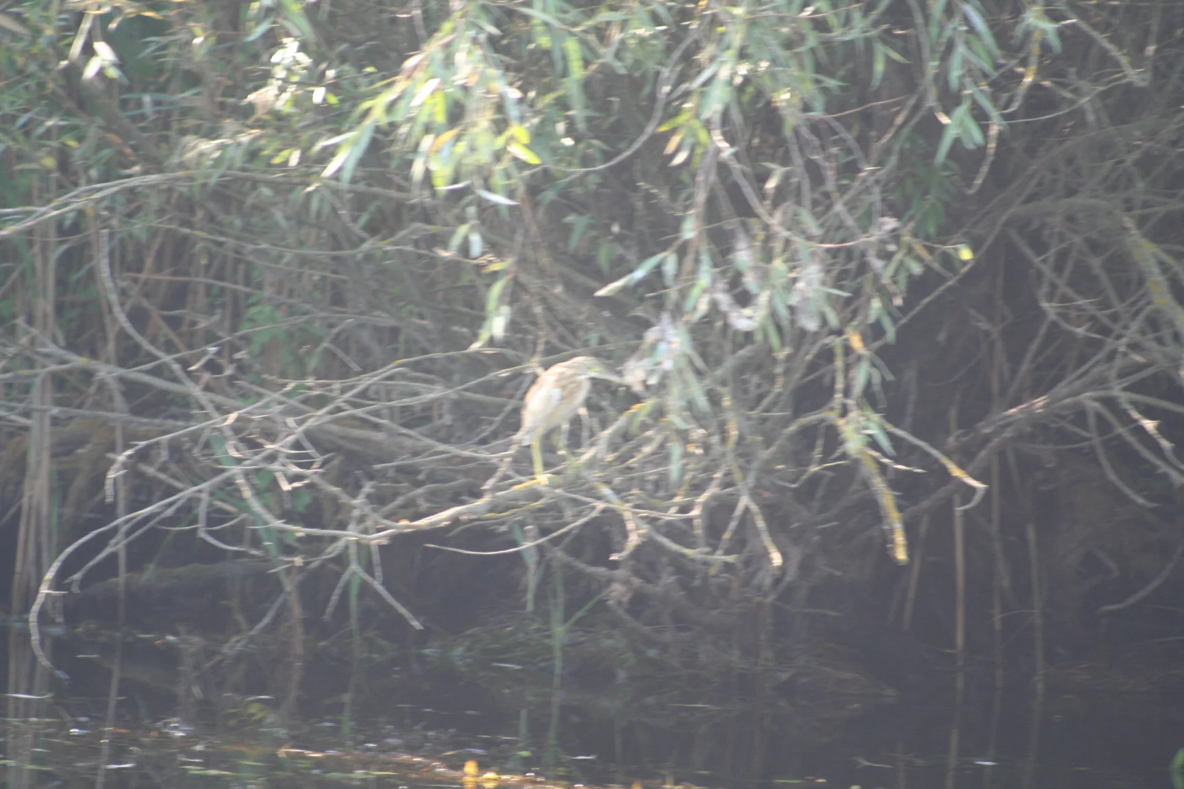 ref-00014.jpg